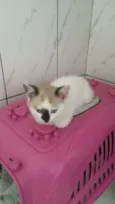 ZEUS E ROMEU