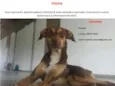 Vitória