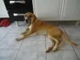 Princesa