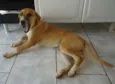 Princesa