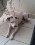 Paçoca