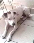 Paçoca