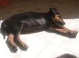 vitinho