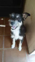 Fiona