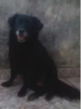 Xurupita