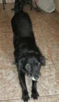 Xurupita