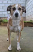 CLÉO, princesa linda!