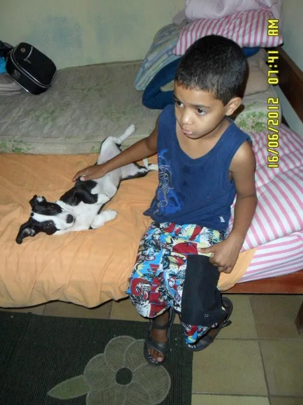 Cachorro ra a VILA LATA COM COFAP idade 2 anos nome MONICA