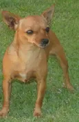 nina