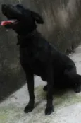 Bruce
