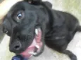 Bruce
