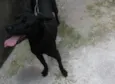 Bruce