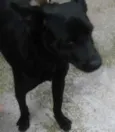 Bruce