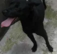 Bruce