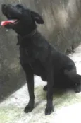 Bruce