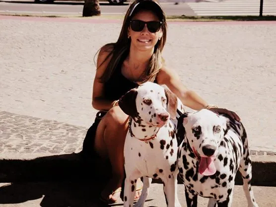 Cachorro raça Dálmata idade 2 a 6 meses nome Bruce, Sally, Pinti
