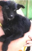 Mindoim