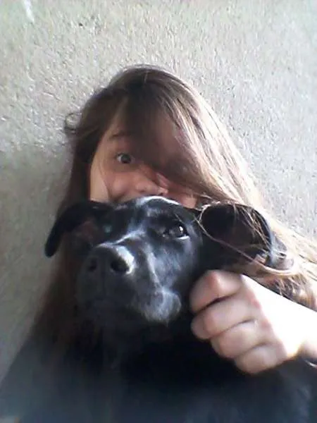 Cachorro ra a Mestiço de Labrador idade 7 a 11 meses nome Ikki