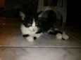 Dorothy