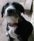 Francisca