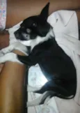 billy