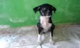 billy