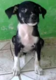 billy