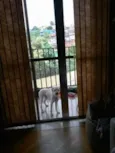 Desconheço