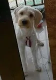 Desconheço