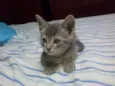 mia
