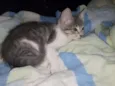 Jane