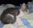 Jane