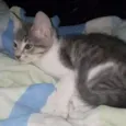 Jane