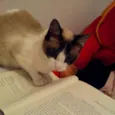 Kika e Bella