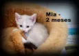 Mia