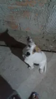 PRINCESA