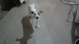 PRINCESA