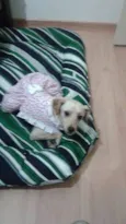 Nina