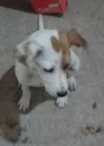 PRINCESA