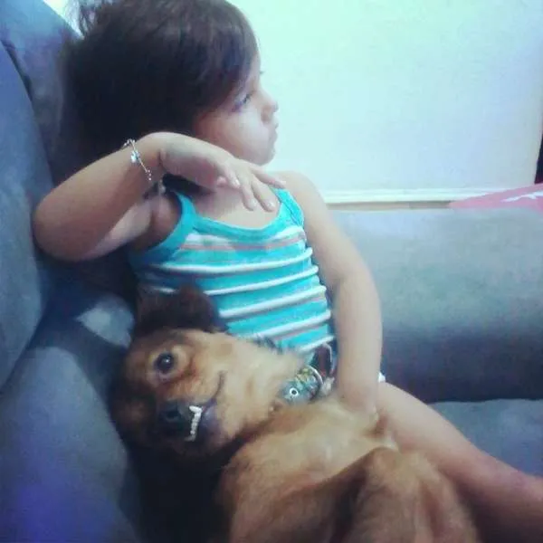 Cachorro ra a SRD idade 1 ano nome Jack