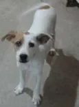 PRINCESA