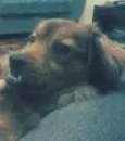 Jack