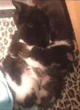 Babies