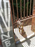 Pequeno