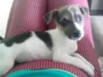Kika