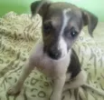 Kika