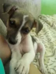 Kika