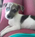 Kika