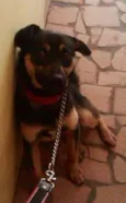 Tobby