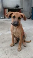 Bella